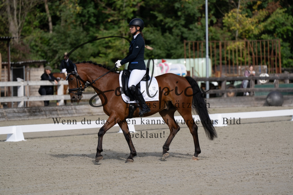 A7V06863 | Turnier/Reitfotograf