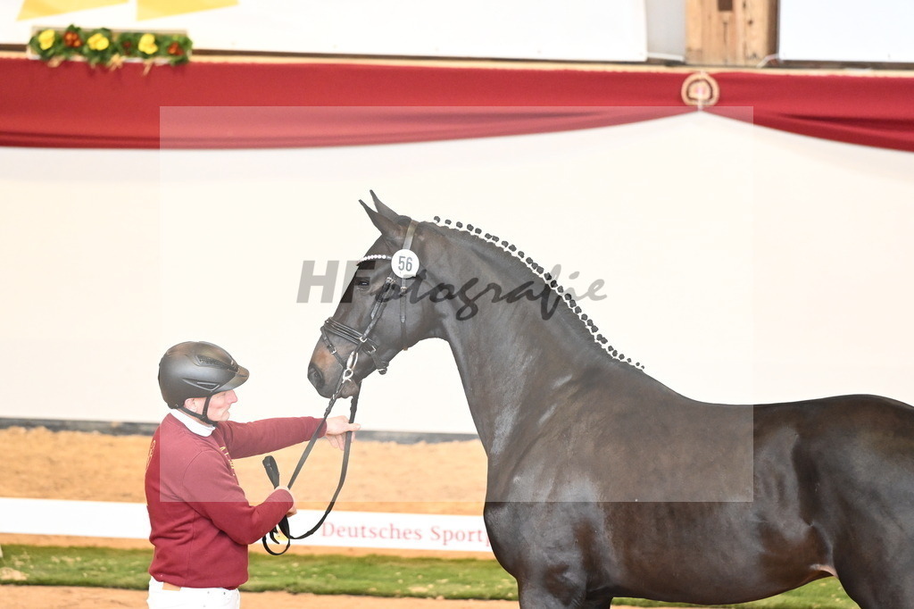 Kat.-Nr. 56 v. Jameson RS2_Fischer_2240716 | hf-fotografie - Realisiert mit Pictrs.com
