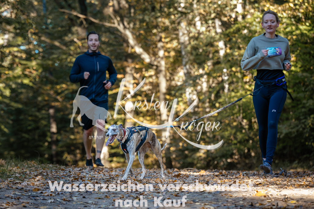 1029_ZZ90043 | kk-dogfotos