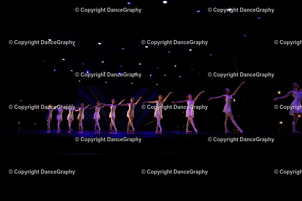 GPHY4044 | DanceGraphy - Realisiert mit Pictrs.com