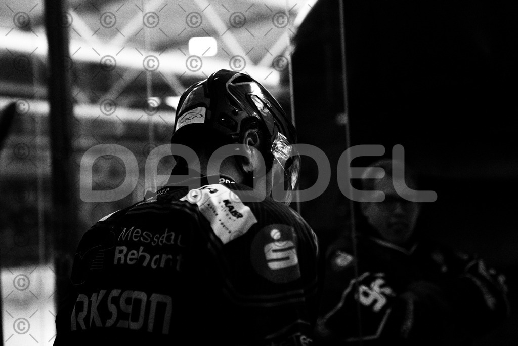 Alligators_vs_Bayreuth_10_2025-39 | Höchstadt Alligators Fotogalerie: Eishockey-Action aus Franken. Professionelle Spielfotos, Portraits & Stadionbilder zum Download. Jetzt entdecken! - Realisiert mit Pictrs.com