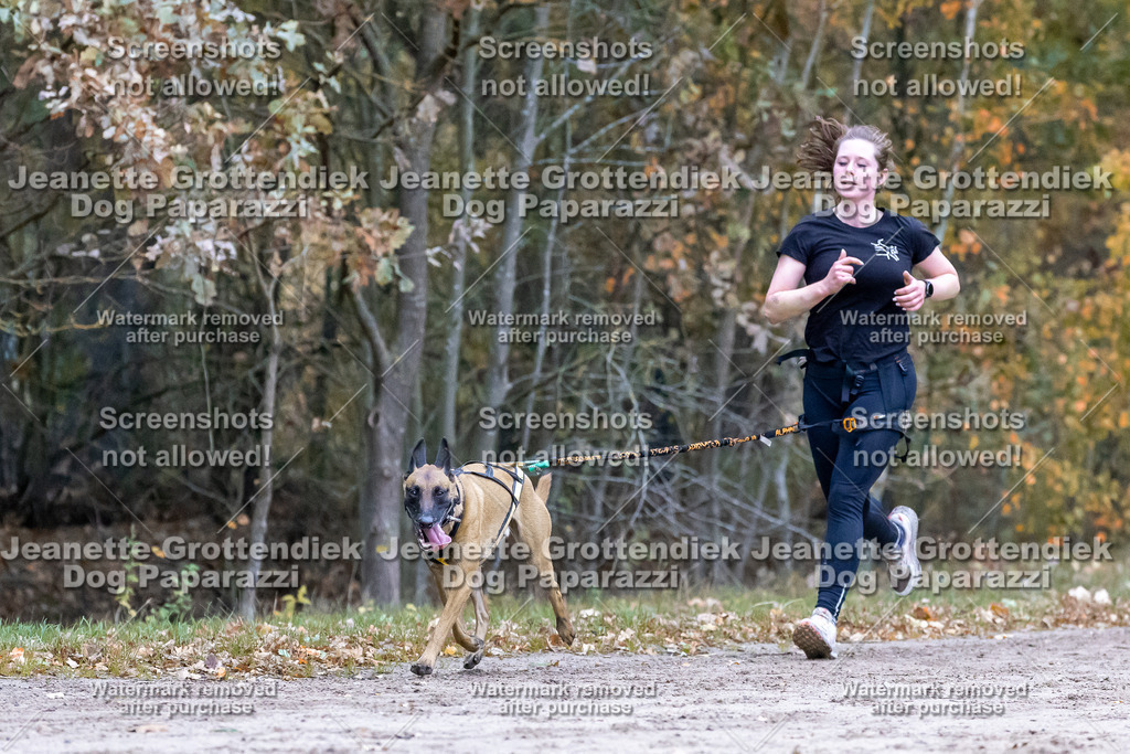 Dog Paparazzi - SD CaniX Championship 2025-146 | Dog Paparazzi Jeanette Grottendiek Fotografie & Videografie - Realisiert mit Pictrs.com