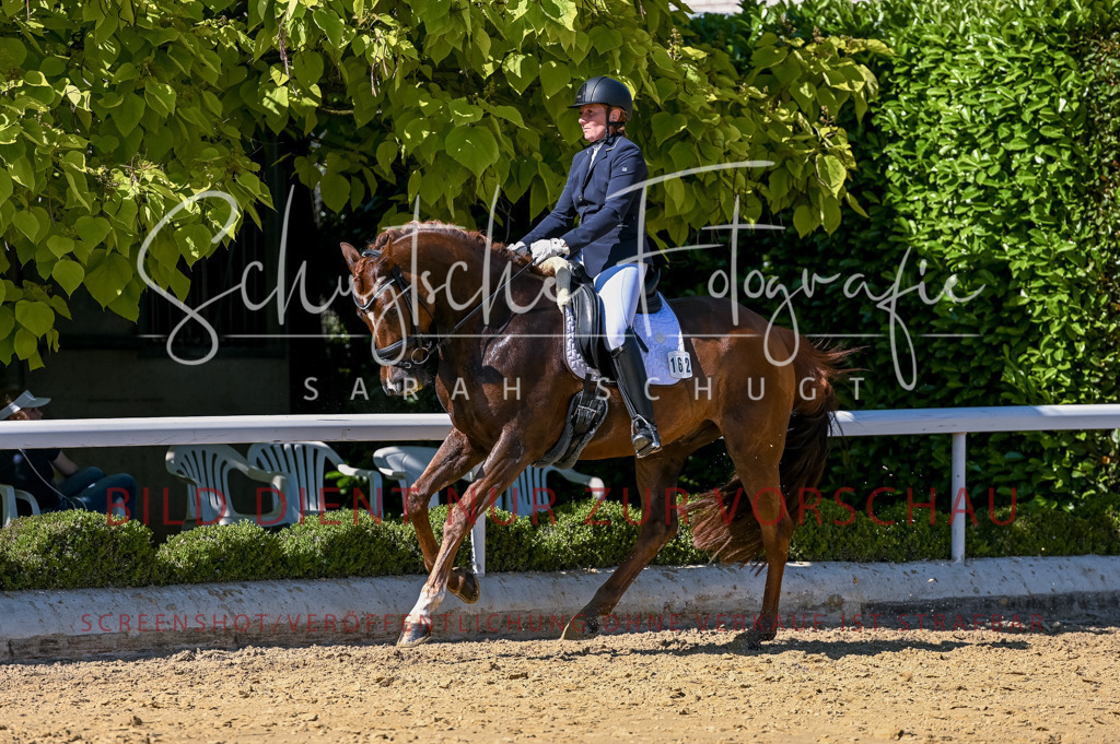 Schugtsche-Aluta25-50.Dressurpferdeprf.L-102 | Schugtsche Fotografie - Realisiert mit Pictrs.com