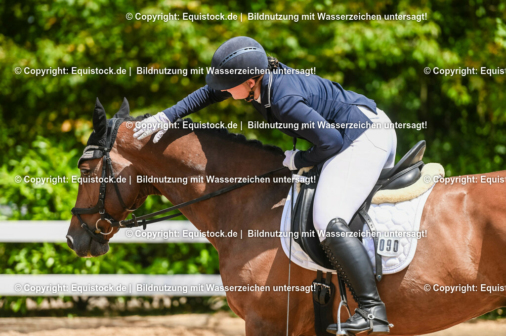 20230716_03_Dressurprfg. Kl.L - Tr._0702 | equistock