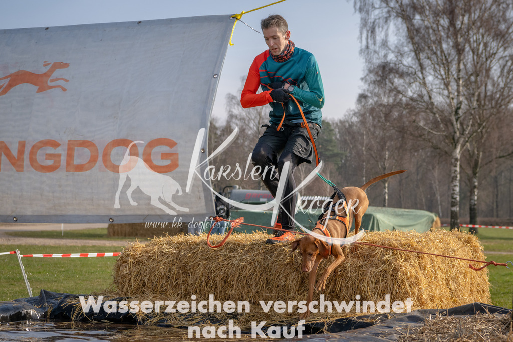 _ZZ90633 | kk-dogfotos