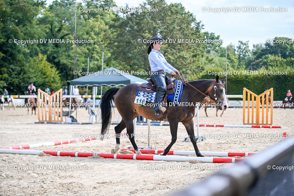 ZS2_3578 | dv-media-shop - Realisiert mit Pictrs.com