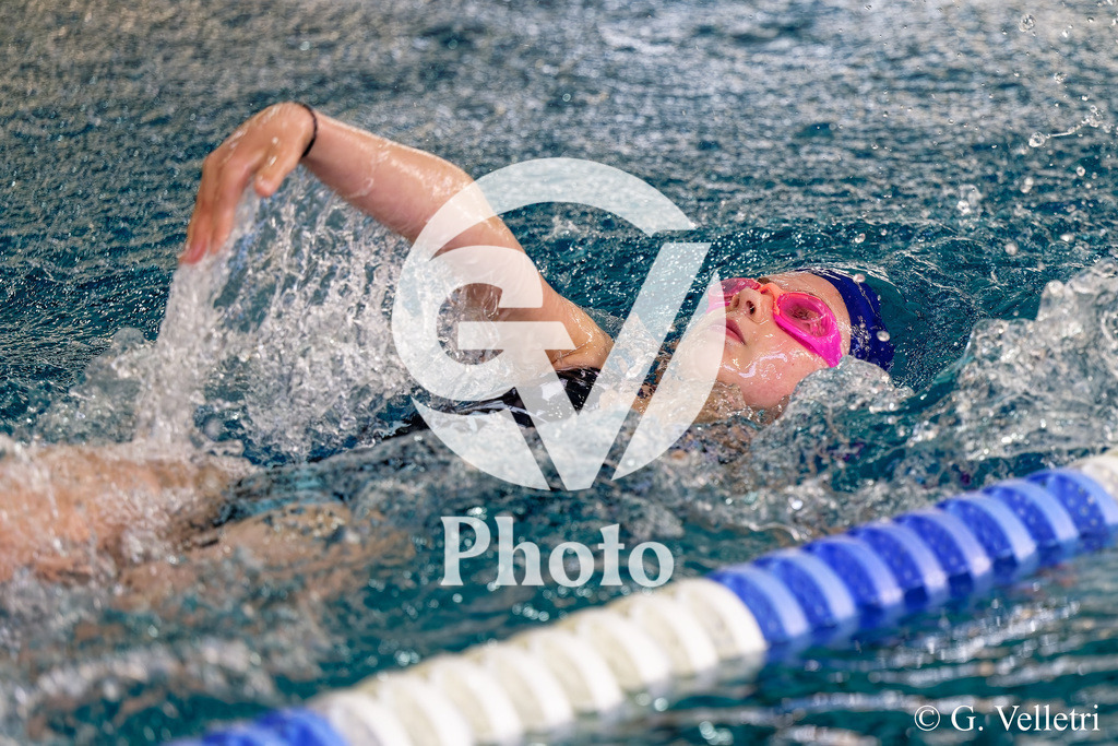 DSC_7485 | Velletri Photo