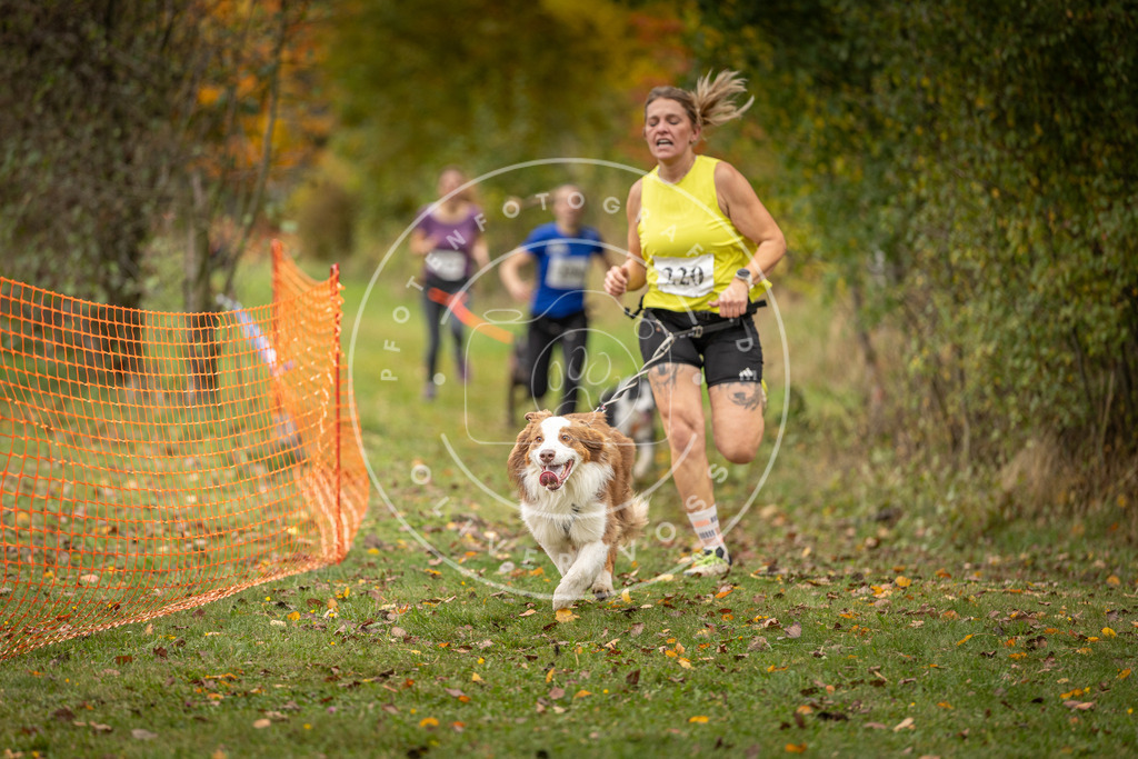 Pfotenfotografie_DV3A4503 | Hundefotografie, Tierfotograf, Pfotenfotografie, Fotoshooting Hund, Hunde Portrait, Hundesport, Hundeportraits, Heideshooting, Hunde, Sportfotograf, Hundefotograf, Turnierhundsport, THS,  - Realisiert mit Pictrs.com