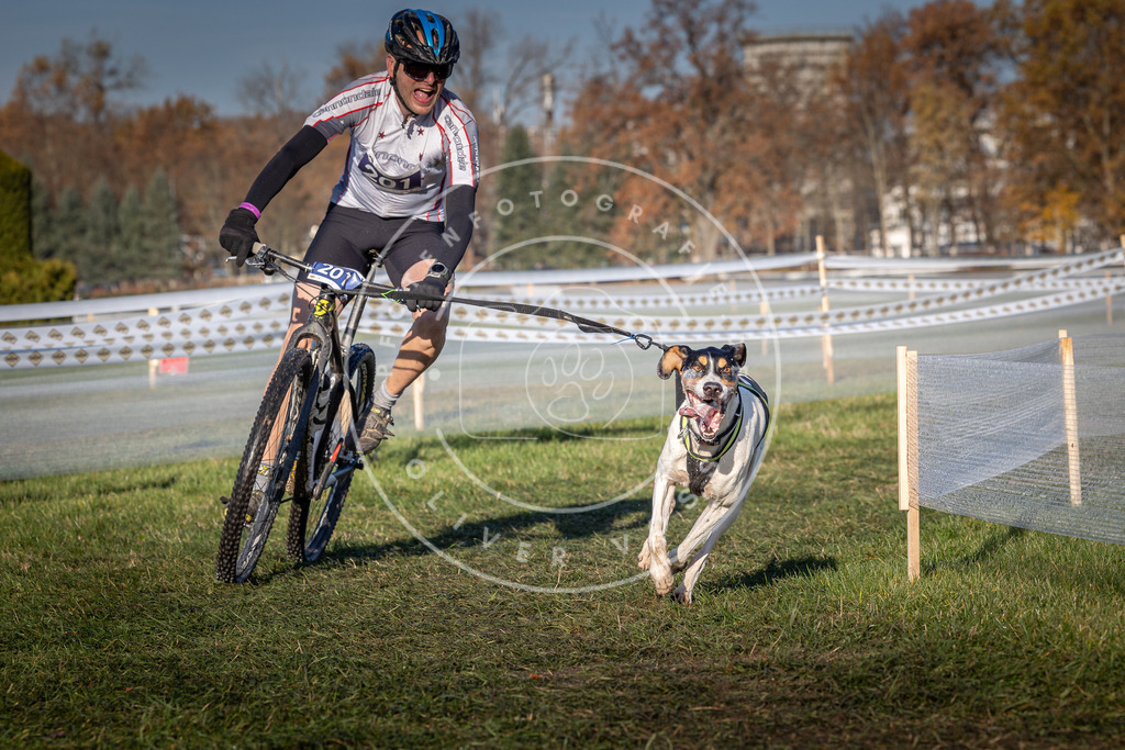CaniXpix_0L8A4451 | Hundefotografie, Tierfotograf, Pfotenfotografie, Fotoshooting Hund, Hunde Portrait, Hundesport, Hundeportraits, Heideshooting, Hunde, Sportfotograf, Hundefotograf, Turnierhundsport, THS,  - Realisiert mit Pictrs.com
