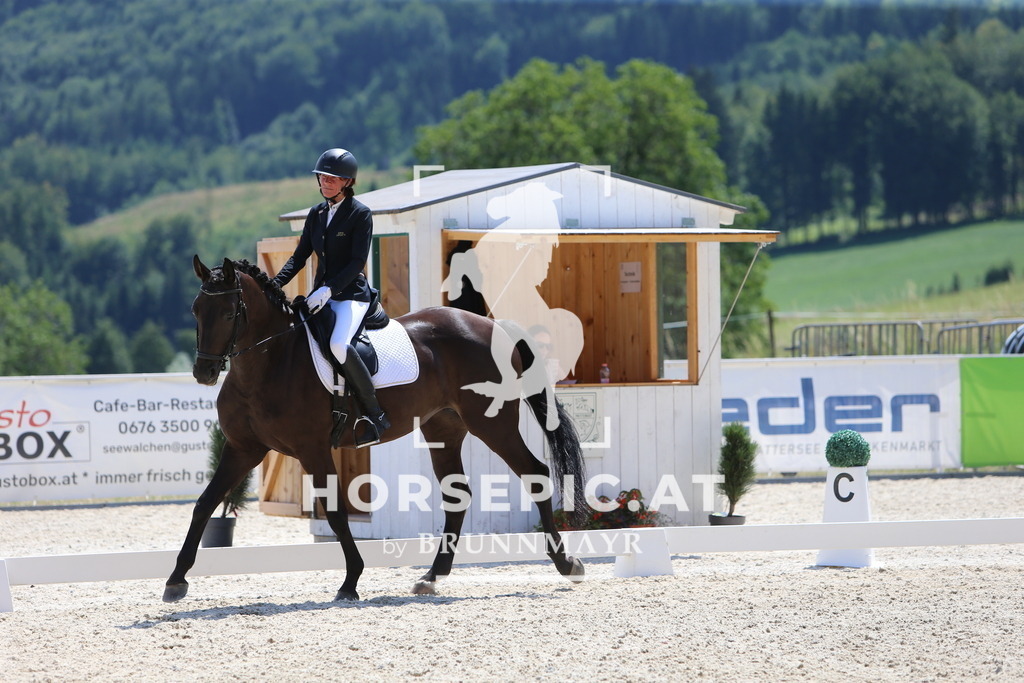 DL2Q9754 | Willkommen bei Brunnmayr - Design & Fotografie – Ihrem Spezialisten für Reitturniere und Pferdeveranstaltungen in Oberösterreich, Salzburg und Bayern! Seit über 17 Jahren sind wir leidenschaftlich dabei.