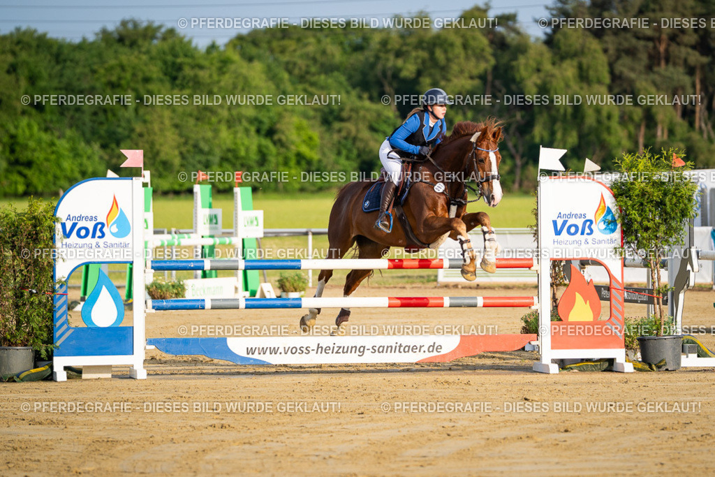 DSC01951 | Pferdegrafie