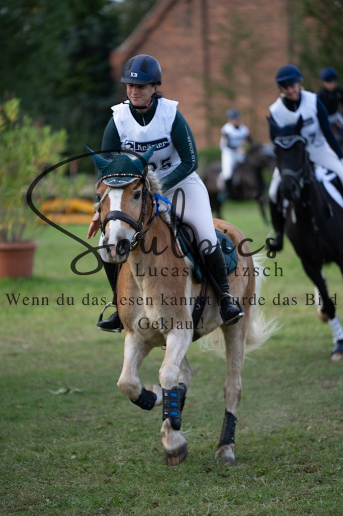 A7V03183 | Turnier/Reitfotograf