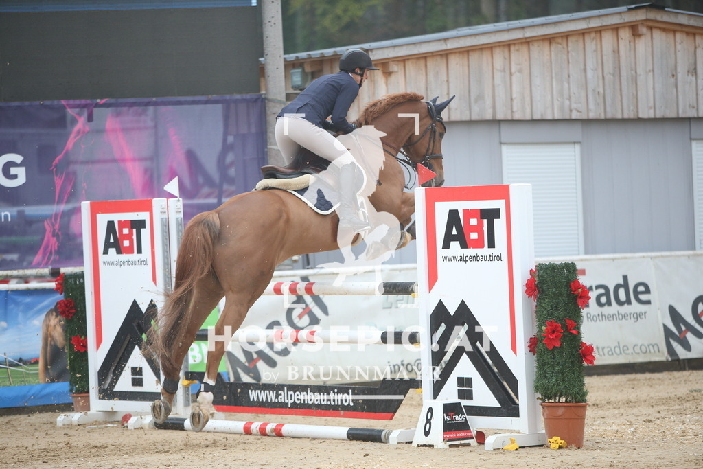 PP012677 | Willkommen bei Brunnmayr - Design & Fotografie – Ihrem Spezialisten für Reitturniere und Pferdeveranstaltungen in Oberösterreich, Salzburg und Bayern! Seit über 17 Jahren sind wir leidenschaftlich dabei.