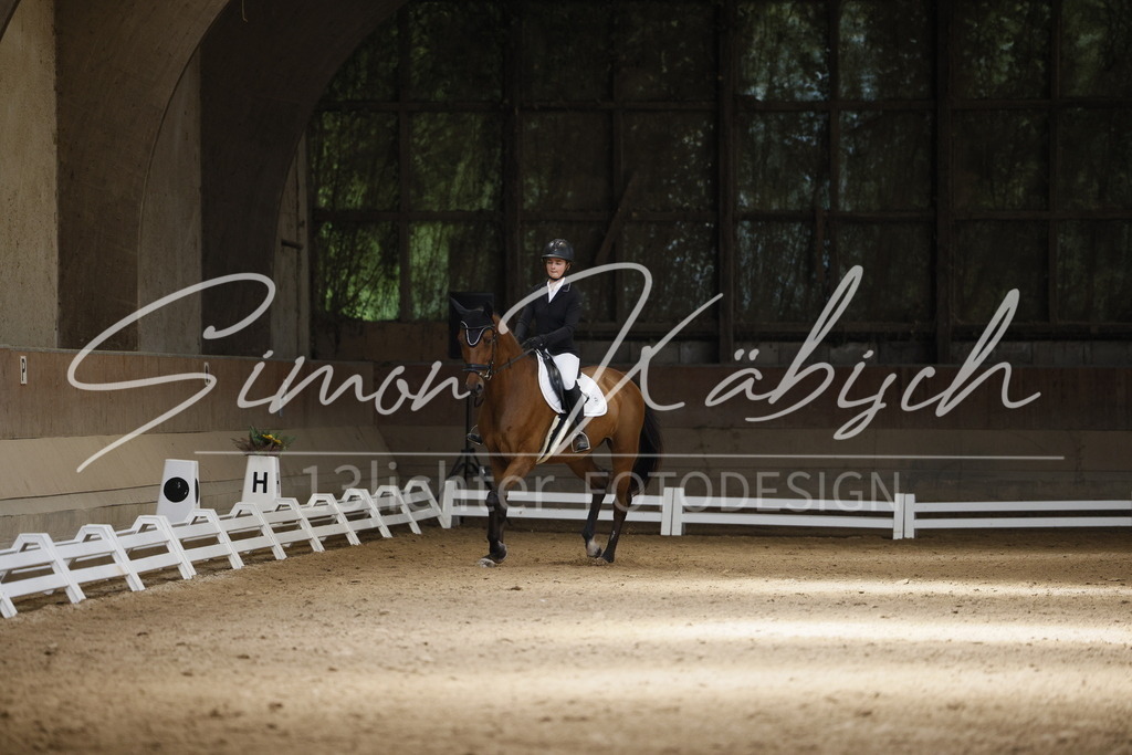 _3LI9953 | Tierfotografie Pferde, Hunde, Katzen, Haustiere.
Turnierfotografie Reitturniere, Reiten, Springreiten, Dressur in Hanau, dem Main-Kinzig-Kreis und dem Rhein-Main- Gebiet um Frankfurt