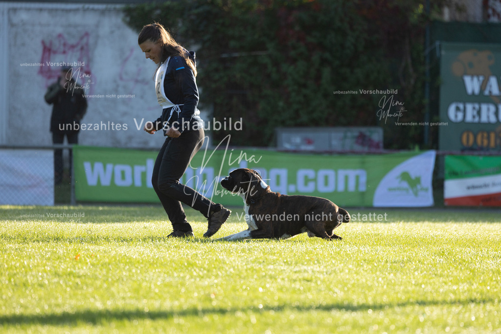 _16A6065 | Einzigartige Fotos von Hunden & Menschen –Actionfotos, Portraits, Vereinsaufnahmen & Paarshootings – authentisch, lebendig & mit Herz.