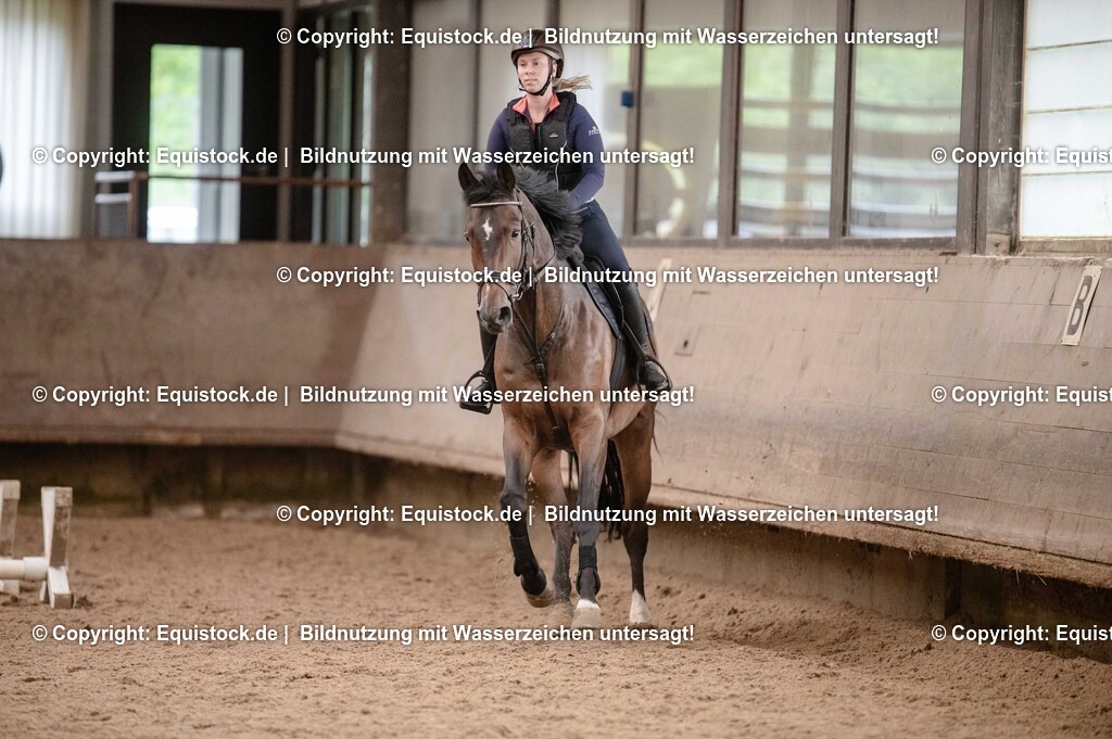 20250725_Vielseitigkeitslehrgang-Marbach_0680 | Foto: Thomas Hartig