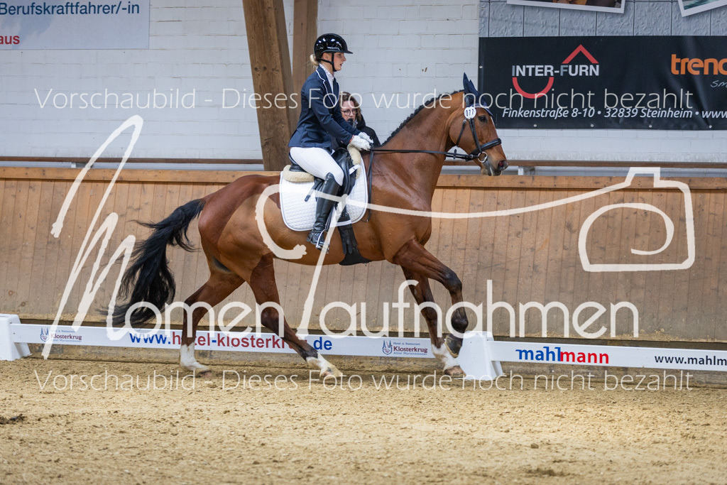 Sth-LPO25-A-Dr-070 | MomenTaufnahmen Pferdesportfotos