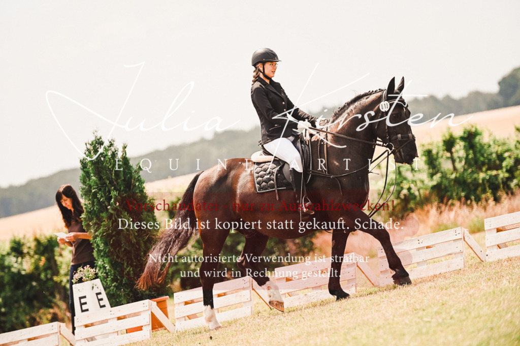 DSC_6267 | Pferde- und Turnierfotografie in Westsachsen. Pferdeportraits, Auftragszeichnungen und intuitive Kunst.