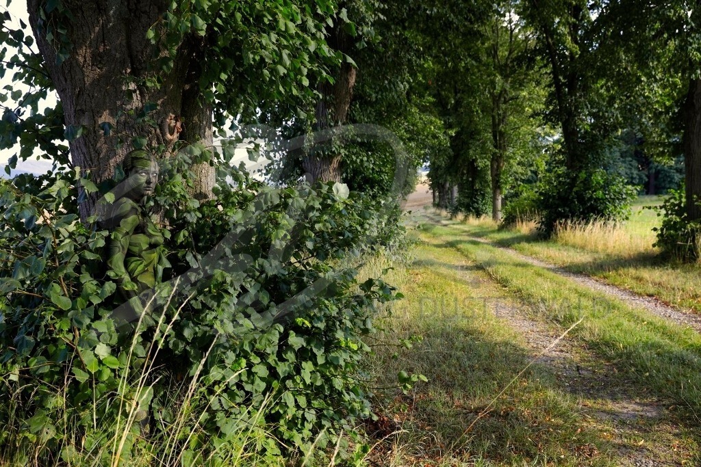NatureArt-LINDENALLEE_3682a1 | Blick aus den Zweigen | #009 | Modell: Tatjana Heinz | Foto: Tschiponnique Skupin - Realisiert mit Pictrs.com