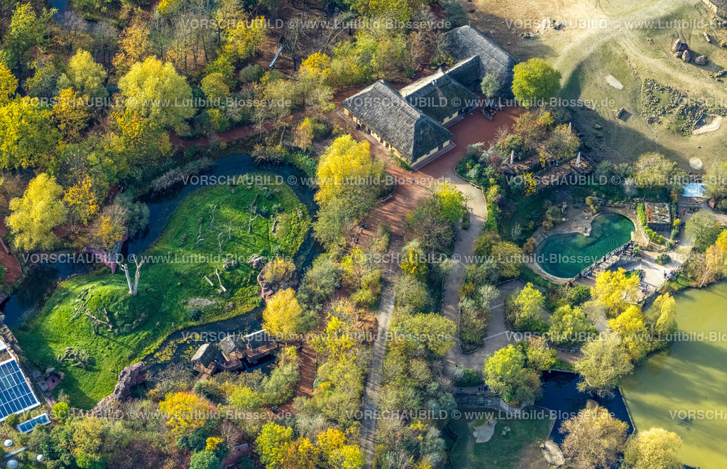 Gelsenkirchen221101692suedlich | Luftbild, ZOOM Erlebniswelt Zoo, Bismarck, Gelsenkirchen, Ruhrgebiet, Nordrhein-Westfalen, Deutschland