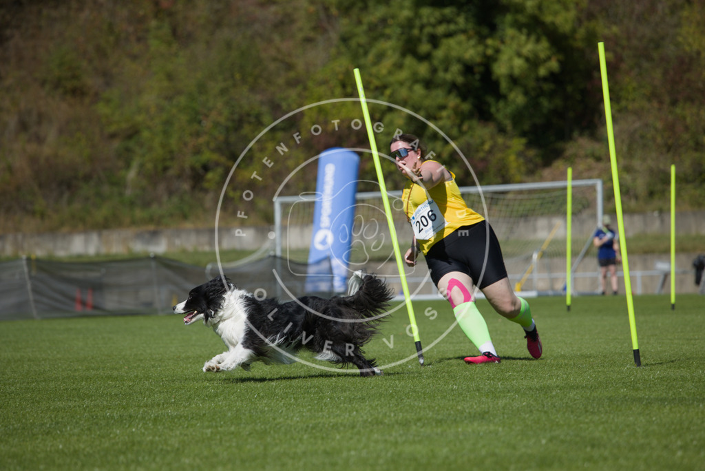 0L8A5835 | Hundefotografie, Tierfotograf, Pfotenfotografie, Fotoshooting Hund, Hunde Portrait, Hundesport, Hundeportraits, Heideshooting, Hunde, Sportfotograf, Hundefotograf, Turnierhundsport, THS,  - Realisiert mit Pictrs.com