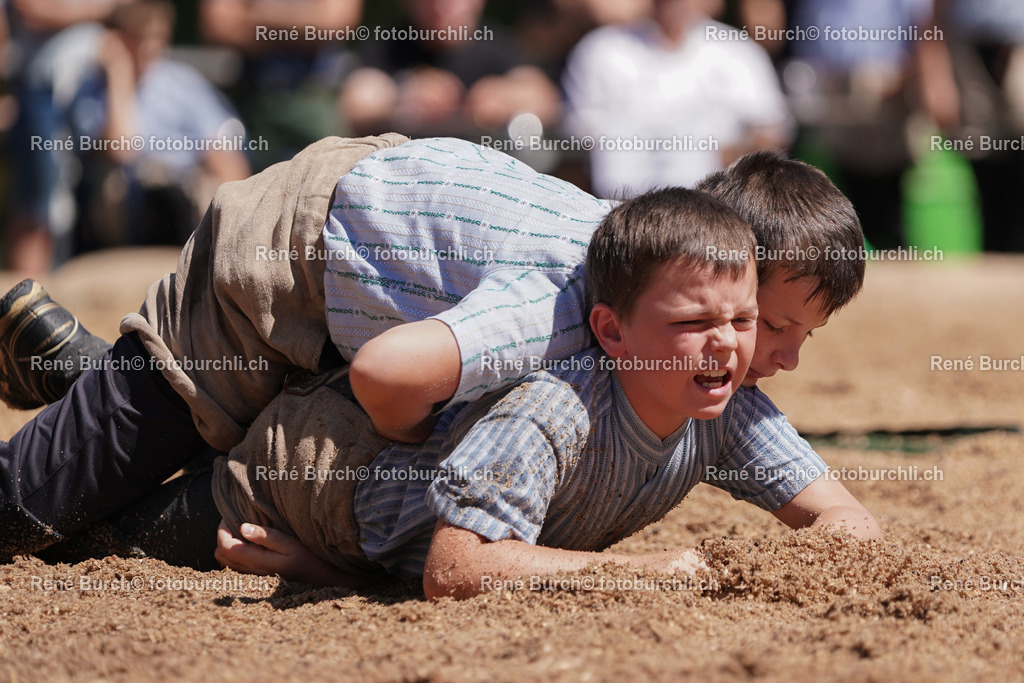 DSC08495 | René Burch leidenschaftlicher Fotograf aus Kerns in Obwalden.  Hier finden sie Sport, Landschaft und Natur Fotografie.
 - Realisiert mit Pictrs.com