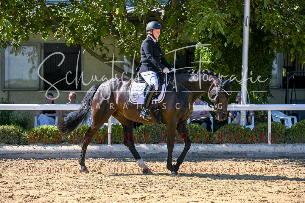 Schugtsche-Aluta25-50.Dressurpferdeprf.L-201 | Schugtsche Fotografie - Realisiert mit Pictrs.com