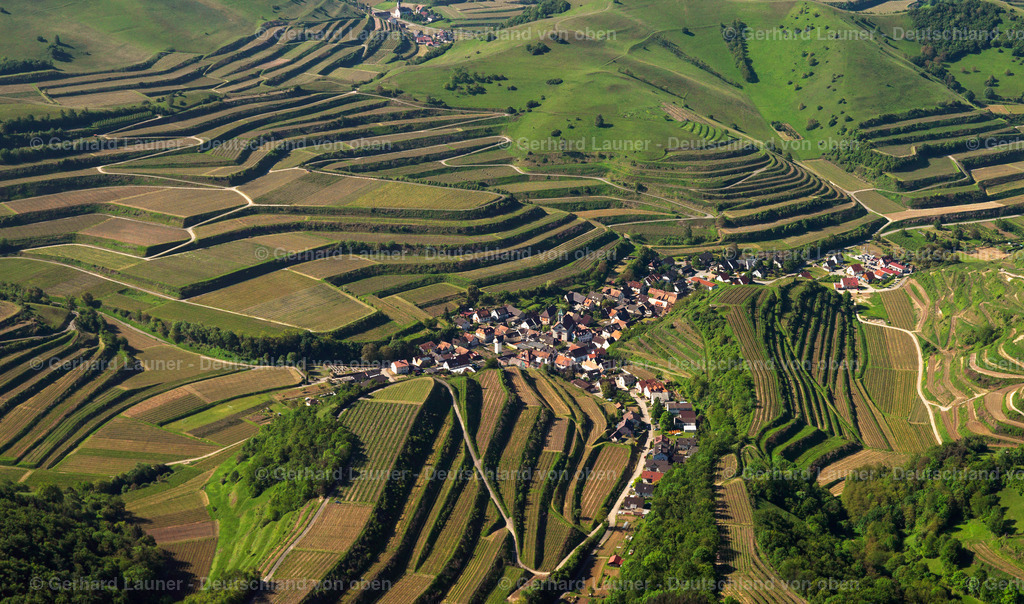 3096247 | Terrassenweinberge, Kaiserstuhl bei Schelingen