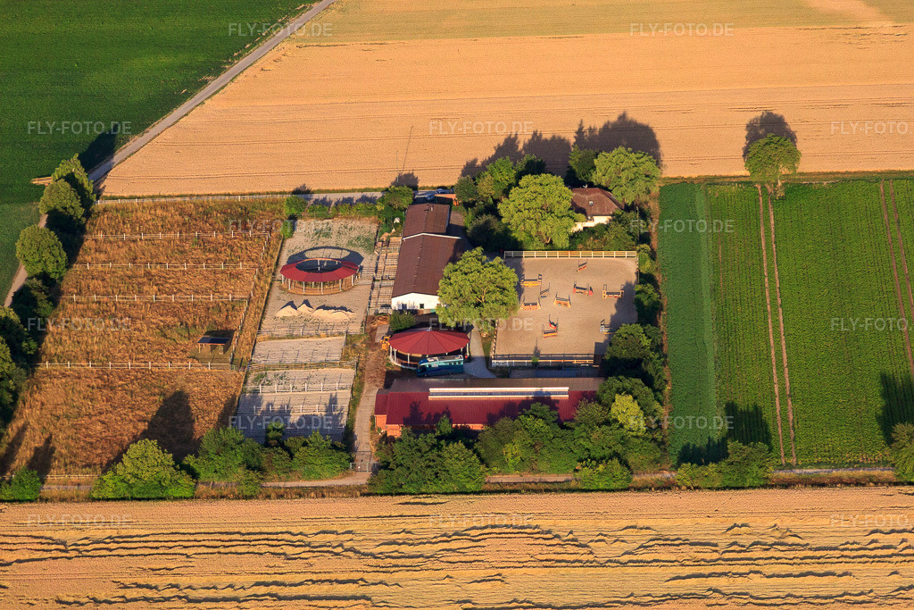 Luftbild: Reitanlage im Ostergewannenhof im Ortsteil Böhl in Böhl-Iggelheim im Bundesland Rheinland-Pfalz in Deutschland. Foto: IMG_69572.jpg vom 04.07.2014 durch Werner Riehm/FLY-FOTO.deAuflösung des Originals: 4752 x 3168 px