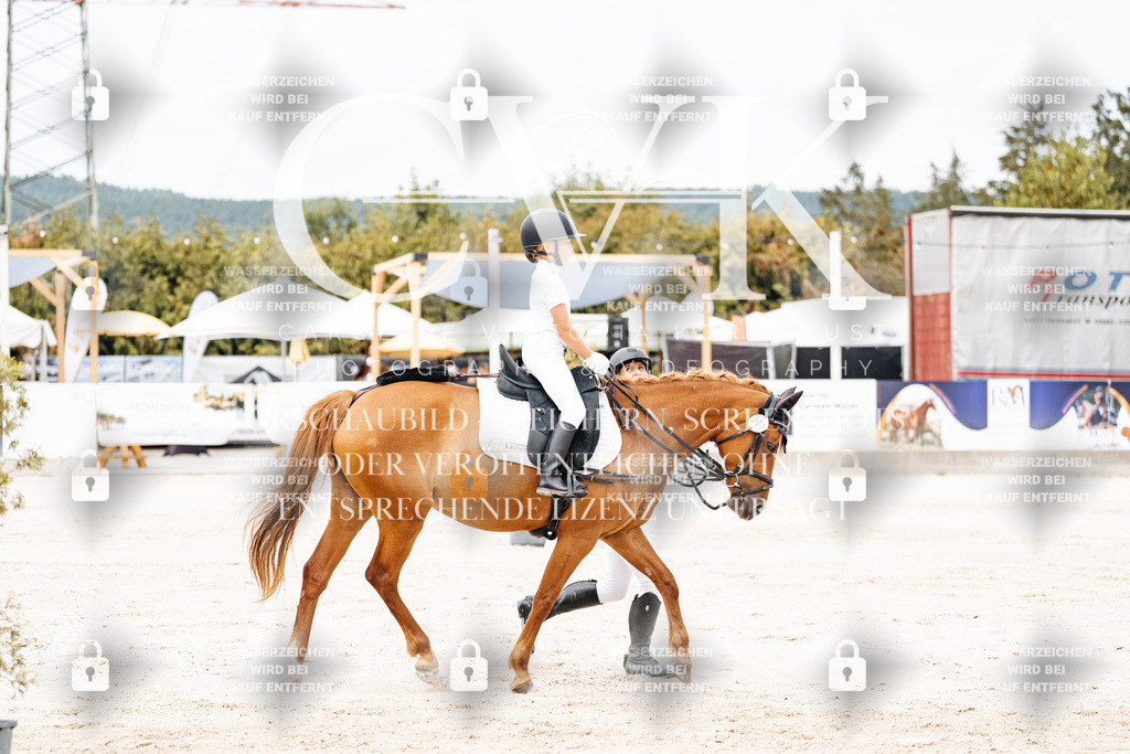 CK907058 | Turnierfotografie Pferdefotografie Trier Rheinland-Pfalz Pferdesport Reitsport Tierfotografie Sportfotografie Pferdevideo Pferdevideografie Equestrianvideography equestrianphotography  - Realisiert mit Pictrs.com