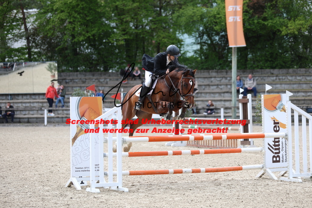 A40A2404 | lmwpictures - Realisiert mit Pictrs.com