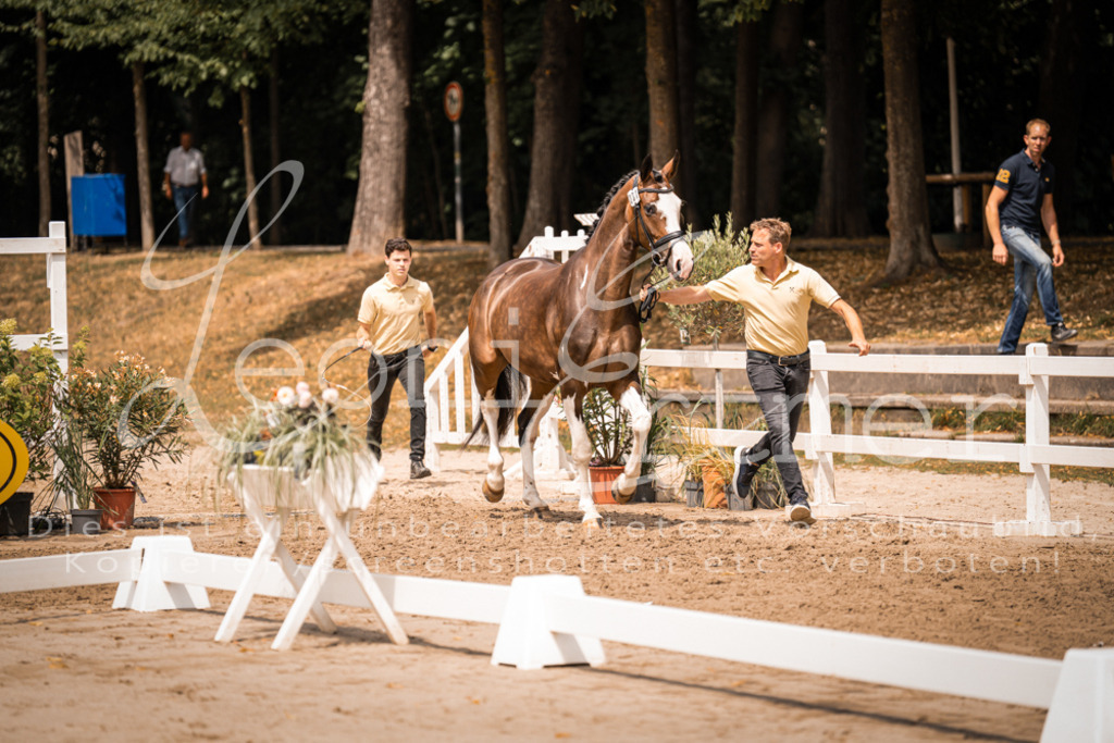 2. Fr00139 | Leoni Ertmer Photography - Realisiert mit Pictrs.com