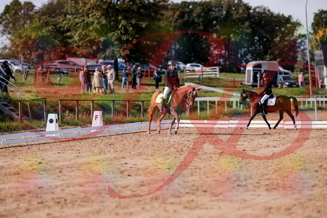 2026_10_03_Siefer-Hof_122029_Z81_20634204 | Professionelle Reitsport-, Turnier- und Eventfotografie von Robert Broda. Galerien mit ausgewählten und bearbeiteten Bildern direkt online ansehen und bestellen.