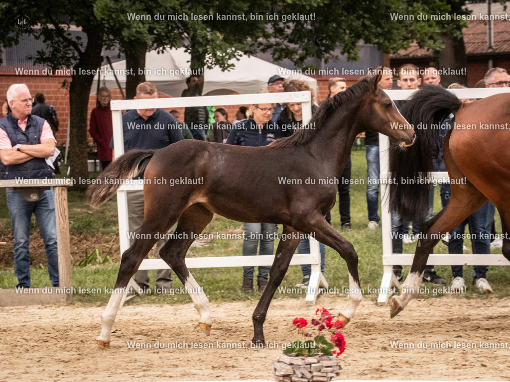 A10I4590 15.58.11 | photographylinaismer - Realisiert mit Pictrs.com