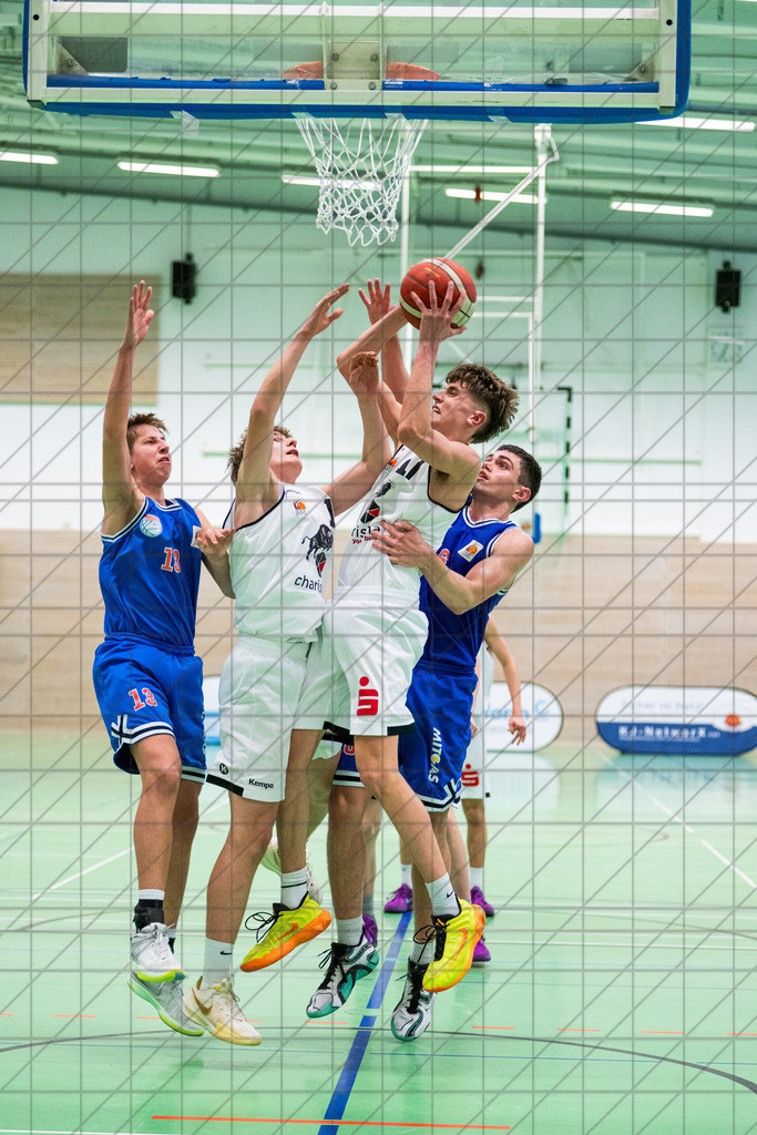 JBBL 24/25 | 21.03.2025 | Charisma Young Bulls vs. Mitteldeutsche Basketball Akademy | JBBL 24/25 | 21.03.2025 | Charisma Young Bulls vs. Mitteldeutsche Basketball Akademy | 1. Runde PlayOffs Gruppe Nord, 2. Spiel - - - - - CREDIT, www.bullenfotos.de, Martin König, Hörner Weg 40, D-49078 Osnabrück, +4917663732967, Nutzung und Weitergabe nur zu den vereinbarten Zwecken. Presseanfragen an Urheber. Alle Rechte beim Urheber. - - - - - - Realisiert mit Pictrs.com