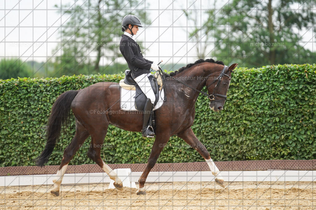 20240630-FAH00842 | Turnierbilder Schwabmünchen, Dressurbilder, Springreitturnier, Reitsportbilder, Turnierfotografen Bayern, Turnierfotograf