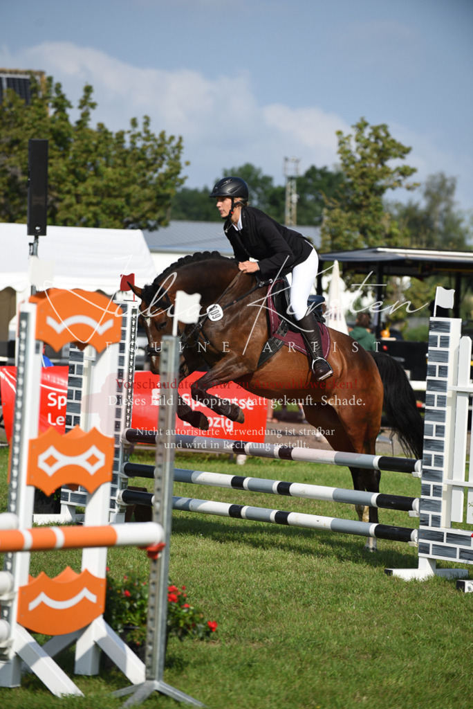 DSC_8694 | Pferde- und Turnierfotografie in Westsachsen. Pferdeportraits, Auftragszeichnungen und intuitive Kunst.