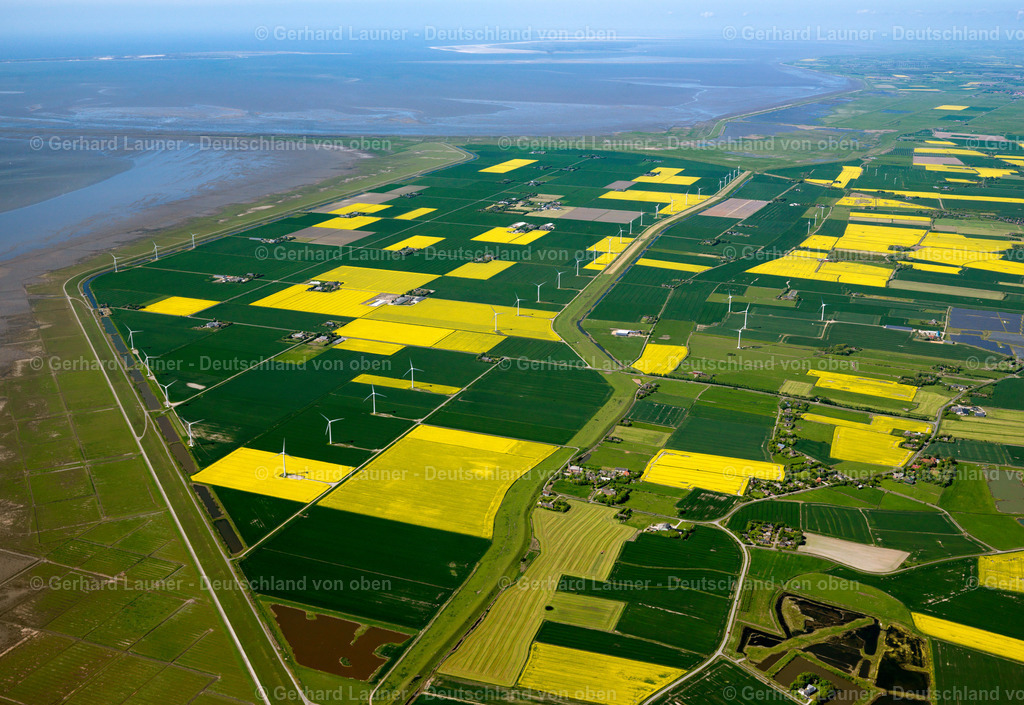 3091300 | Windpark an der Küste Küste bei Niebüll