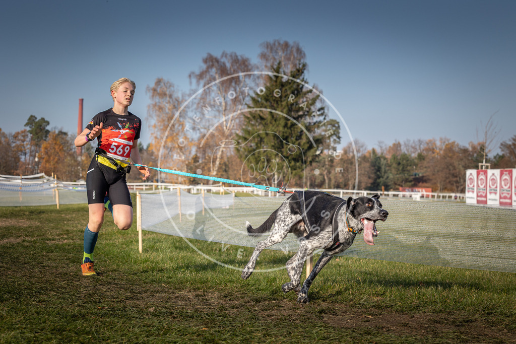 CaniXpix_0L8A9489 | Hundefotografie, Tierfotograf, Pfotenfotografie, Fotoshooting Hund, Hunde Portrait, Hundesport, Hundeportraits, Heideshooting, Hunde, Sportfotograf, Hundefotograf, Turnierhundsport, THS,  - Realisiert mit Pictrs.com