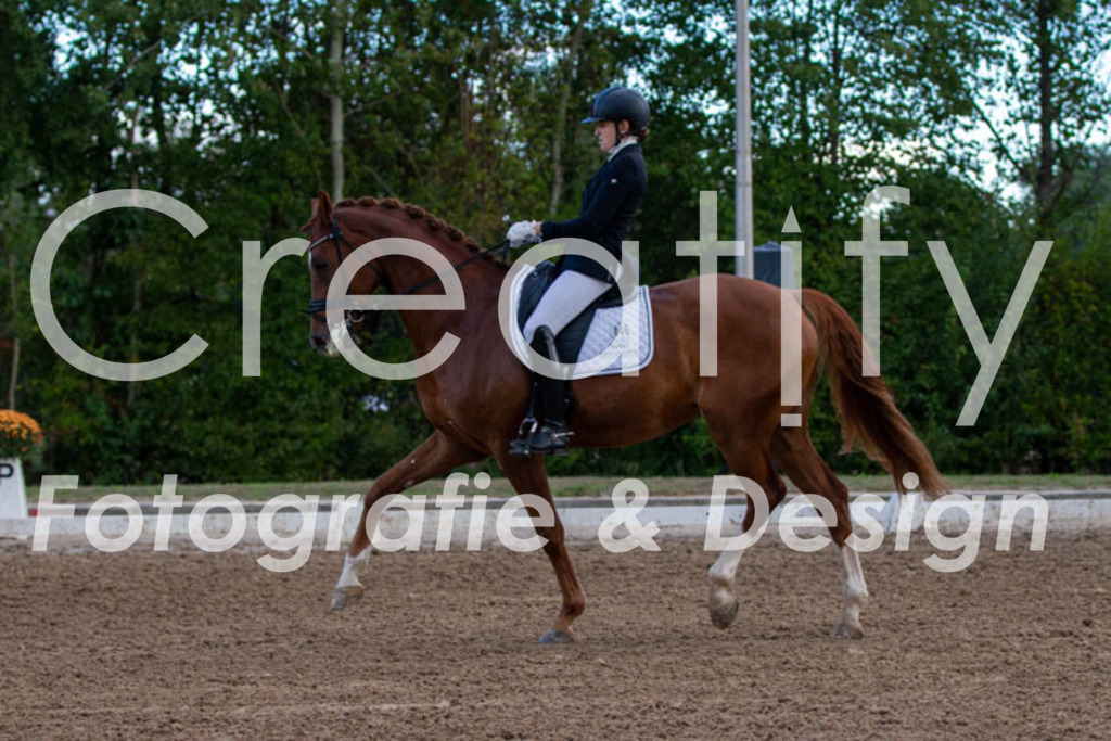 IMG_4238 | Creatify Fotografie