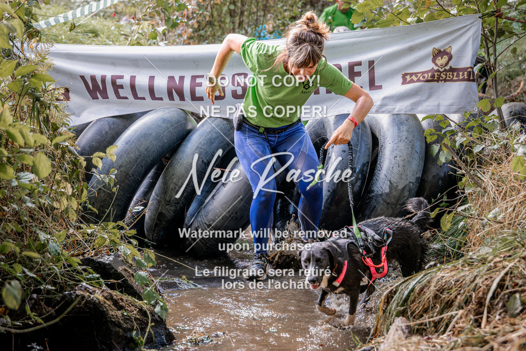 nelerasche_Hunsrück2026_Sa1400-1500_63 | nelerasche