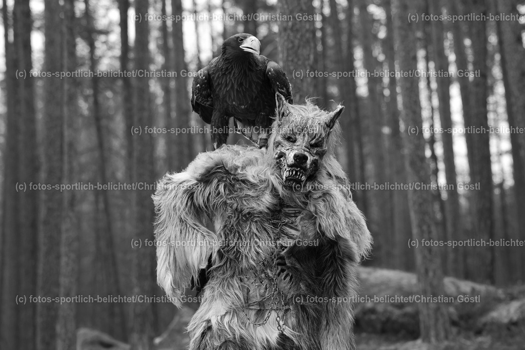 2X5A4347 | fotos-sportlich-belichtet - Realisiert mit Pictrs.com