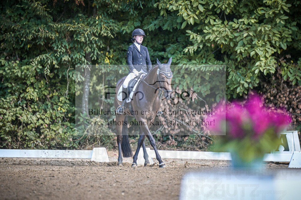 DOS_2868 | Entdecke hochwertige Reitturnierfotos von Foto Oger. Professionell, emotional und authentisch – jetzt Lieblingsmomente im Shop bestellen.Deutschlandweite Turnierfotografie. - Realisiert mit Pictrs.com