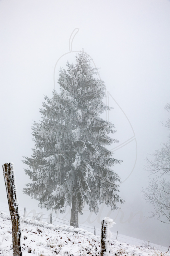 Frostiger Mostweg | Ihre Fotografin im Lungau, ihre Fotografin im Mostviertel, Wandbilder Onlineshop, Imagefotos für Ihr Unternehmen,  - Realisiert mit Pictrs.com