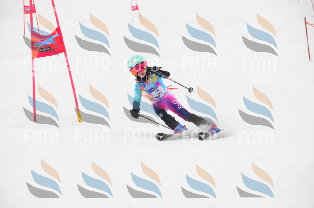 C0522 | holidayphoto