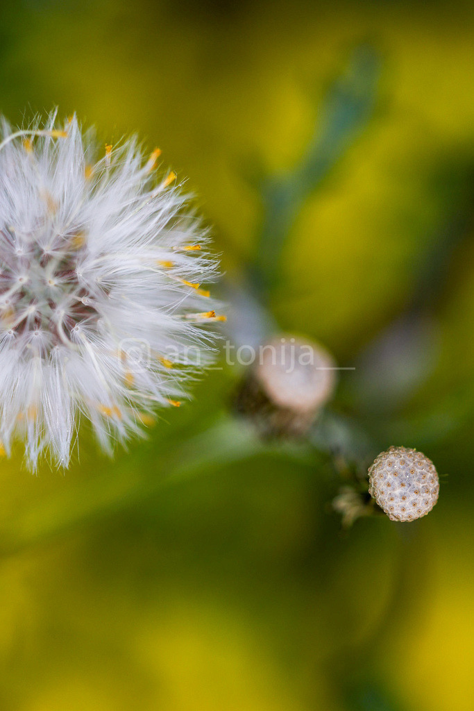 JB3A0405 | antonija-trupina - Realisiert mit Pictrs.com