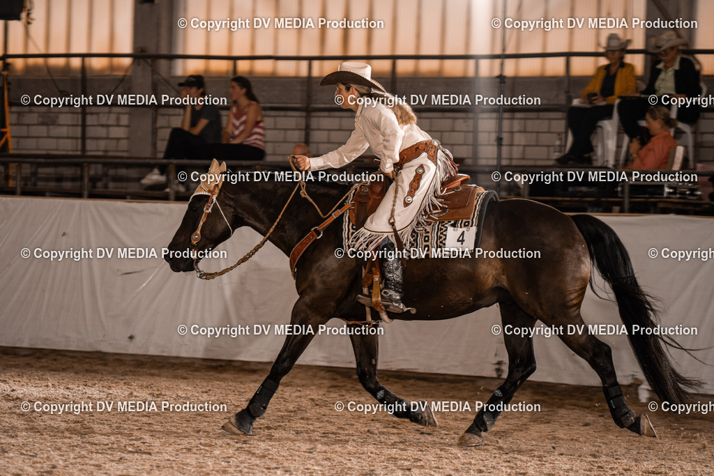 ZH300550 | dv-media-shop - Realisiert mit Pictrs.com