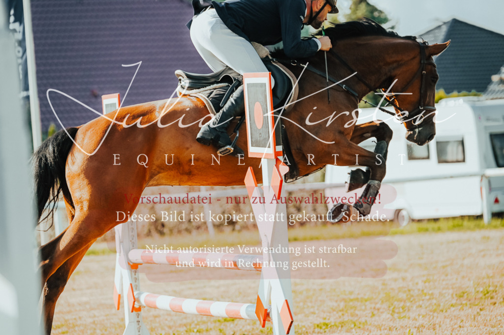 DSC_7421 | Pferde- und Turnierfotografie in Westsachsen. Pferdeportraits, Auftragszeichnungen und intuitive Kunst.
