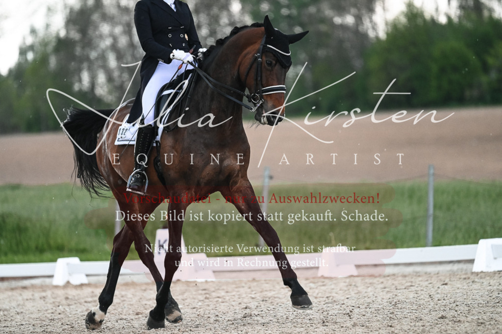 20230514_JK-Röhrsdorf-21-492 | Pferde- und Turnierfotografie in Westsachsen. Pferdeportraits, Auftragszeichnungen und intuitive Kunst.