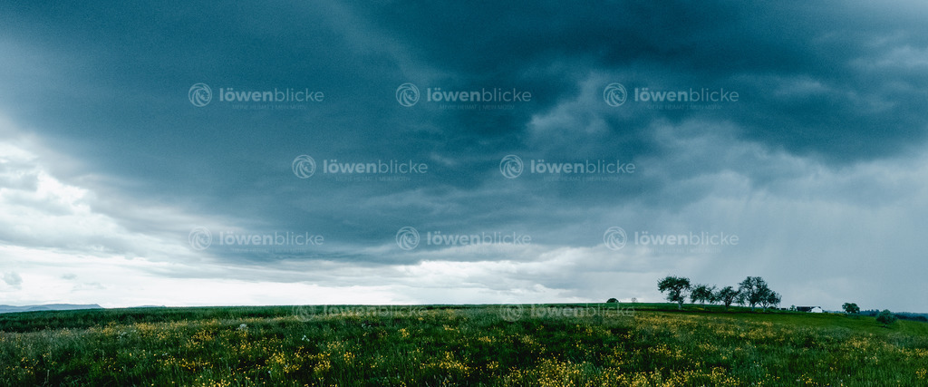 Eine Wiese bei Birenbach, kurz vor einem Sturm | löwenblicke | shop